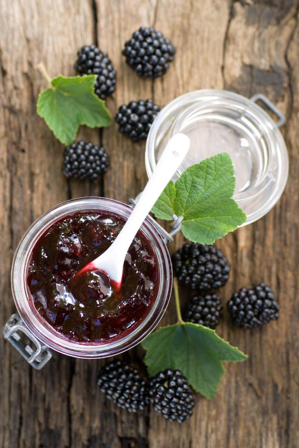 Pioneer Woman Blackberry Freezer Jam