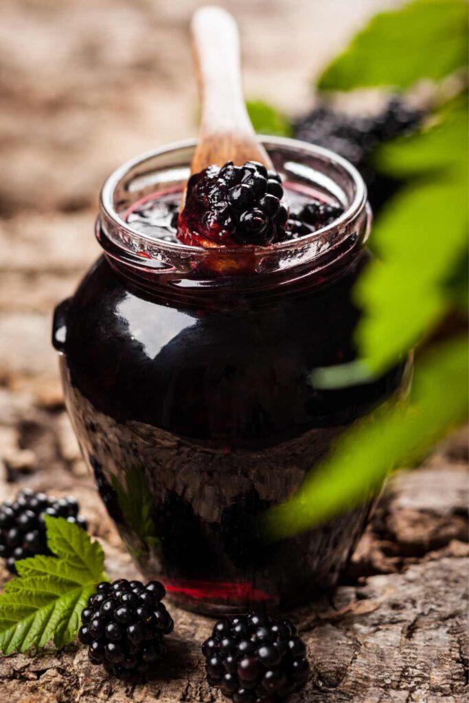 Pioneer Woman Blackberry Freezer Jam