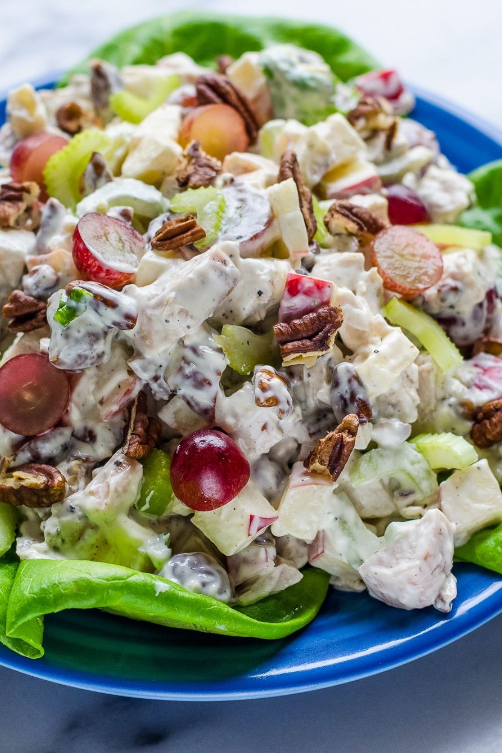 Pioneer Woman Chicken Salad With Grapes And Pecans