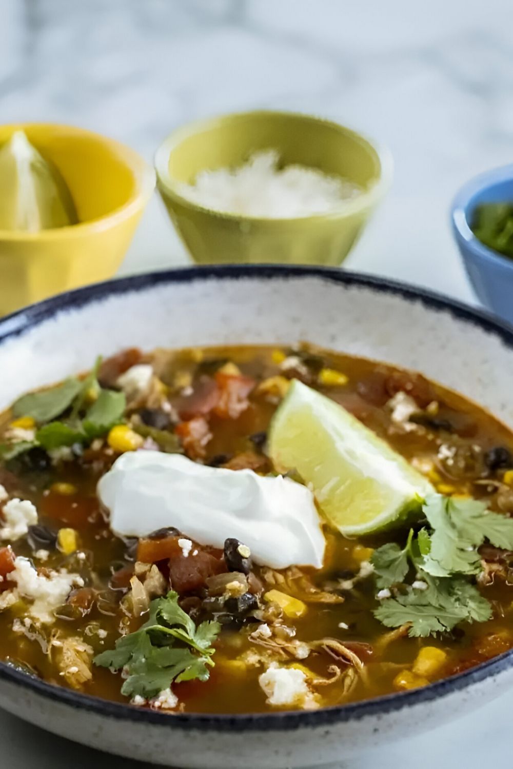 Pioneer Woman Spicy Chicken And Black Bean Soup