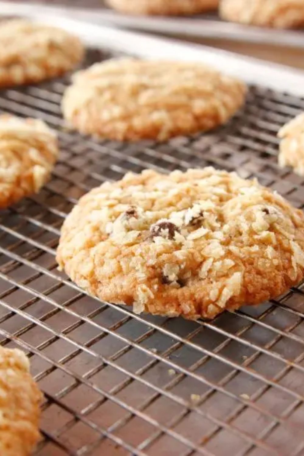 Pioneer Woman Potato Chip Cookies