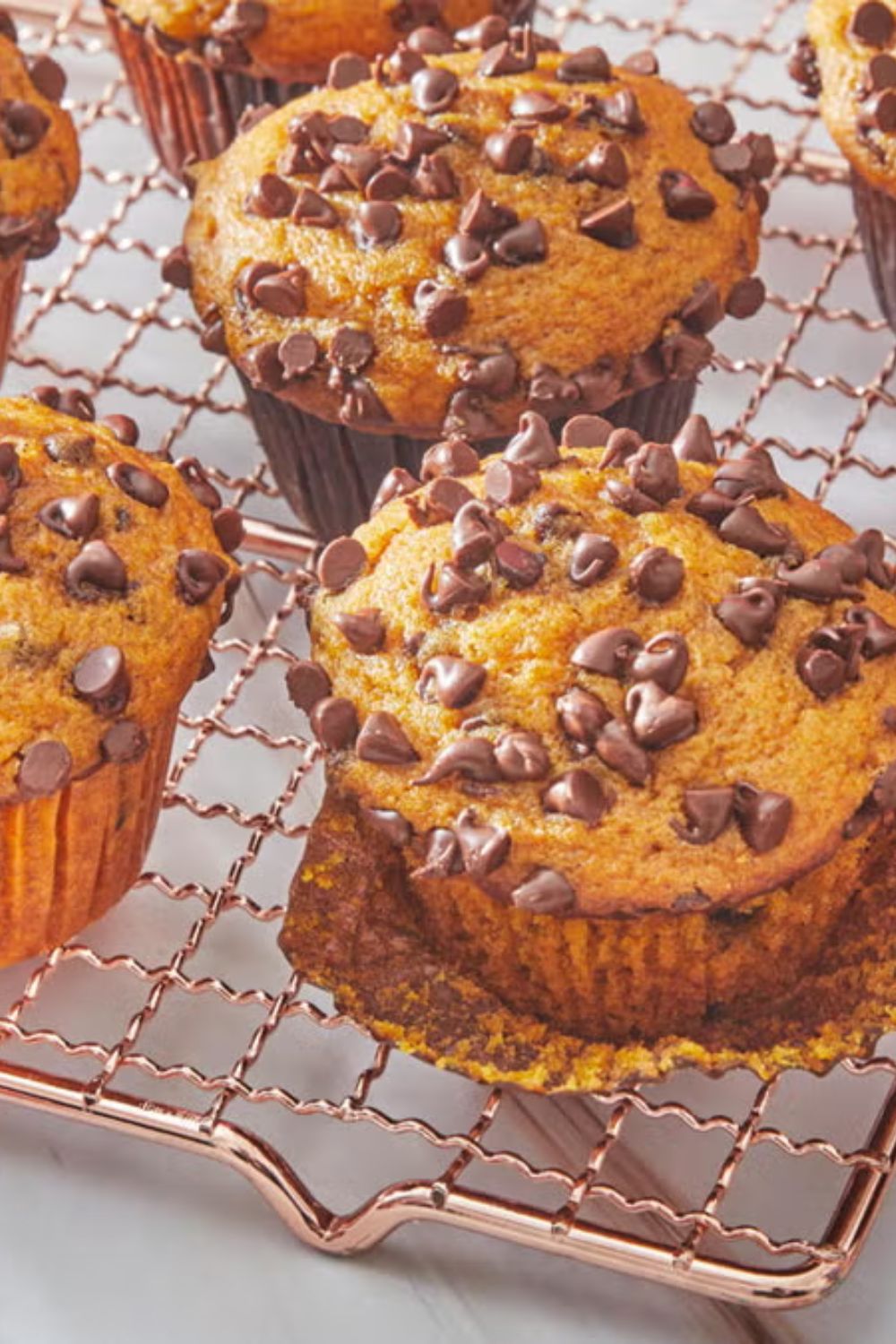 Pioneer Woman Pumpkin Chocolate Chip Muffins