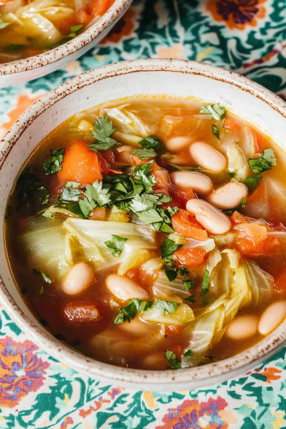 Pioneer Woman Cabbage Soup