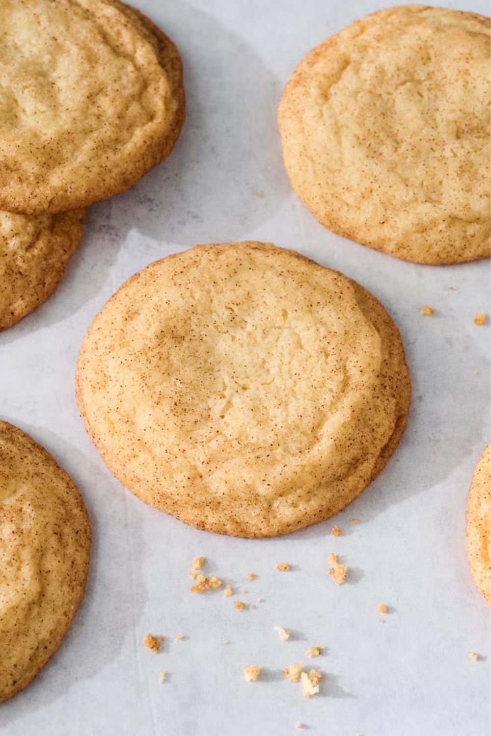 Pioneer Woman Snickerdoodle Cookies